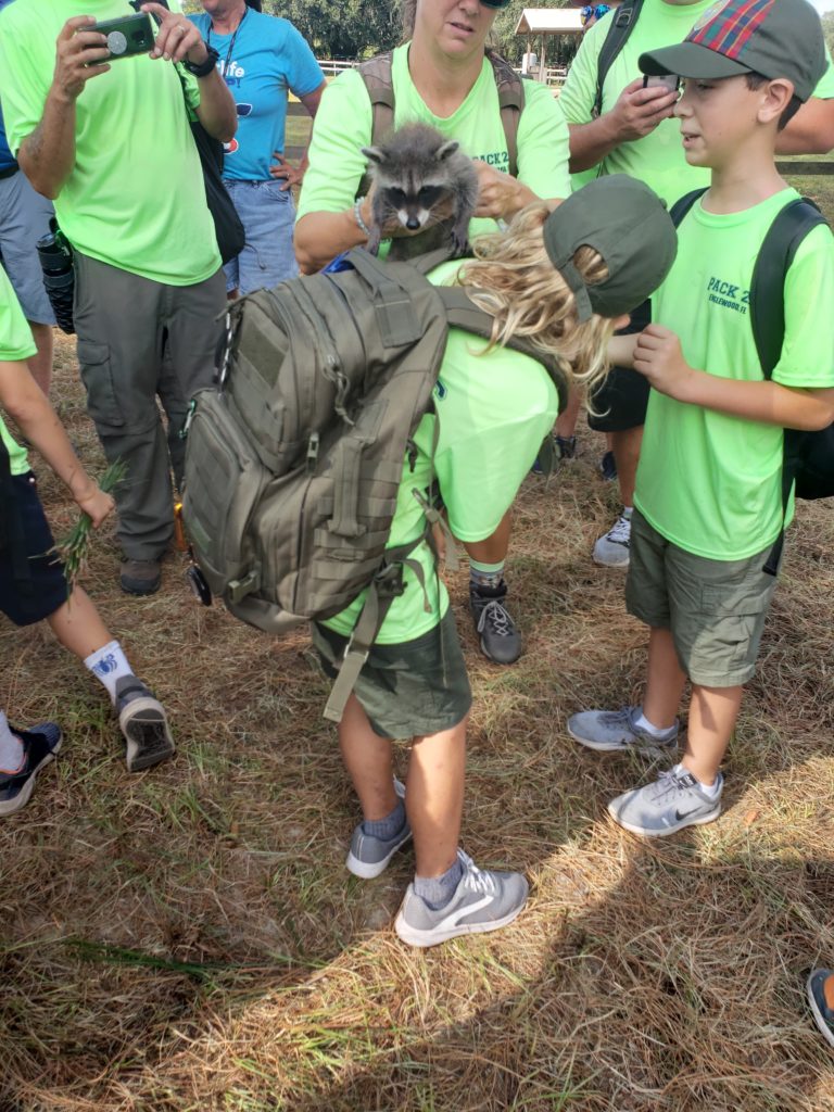 Baby Racoon on boy from boy scout troop 26.
